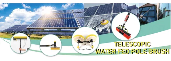 Hot Selling Solar Panel Cleaning Brush with Water Fed Telescopic Pole for Window Cleaning