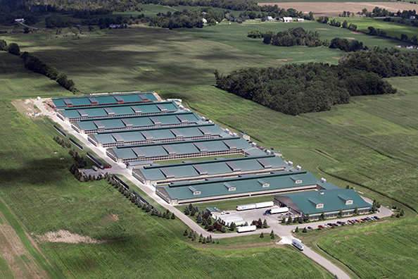 Nanchang Bags Co.,Ltd