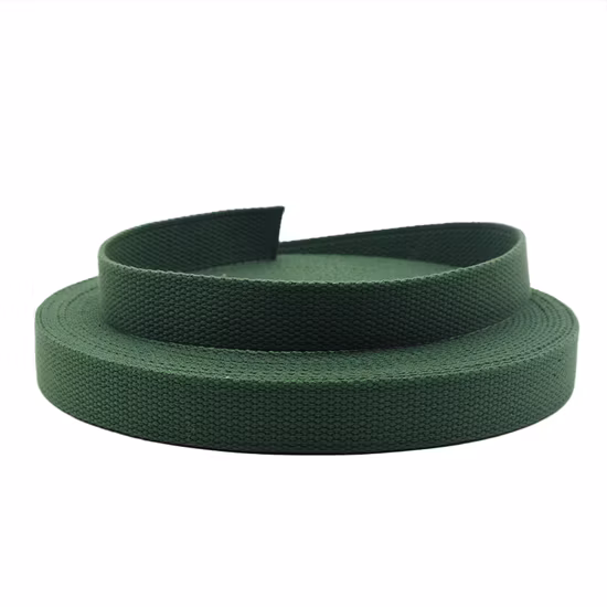 Wholesale Flat Polypropylene/Polyester/Nylon Strap Webbing for Clothing and Shoes Accessories Bag Tape Waist Belt Pet Collar Band